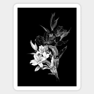 Lilies Sticker